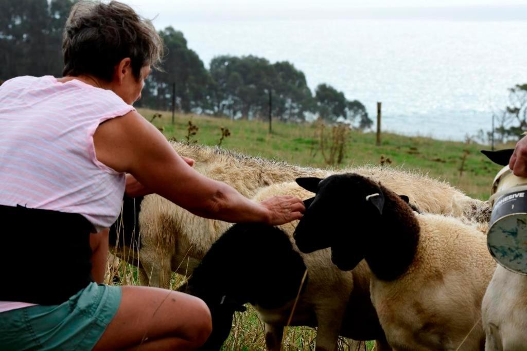 Penguin Seaside Farm Villa Dış mekan fotoğraf